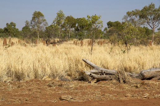 Australia 2014